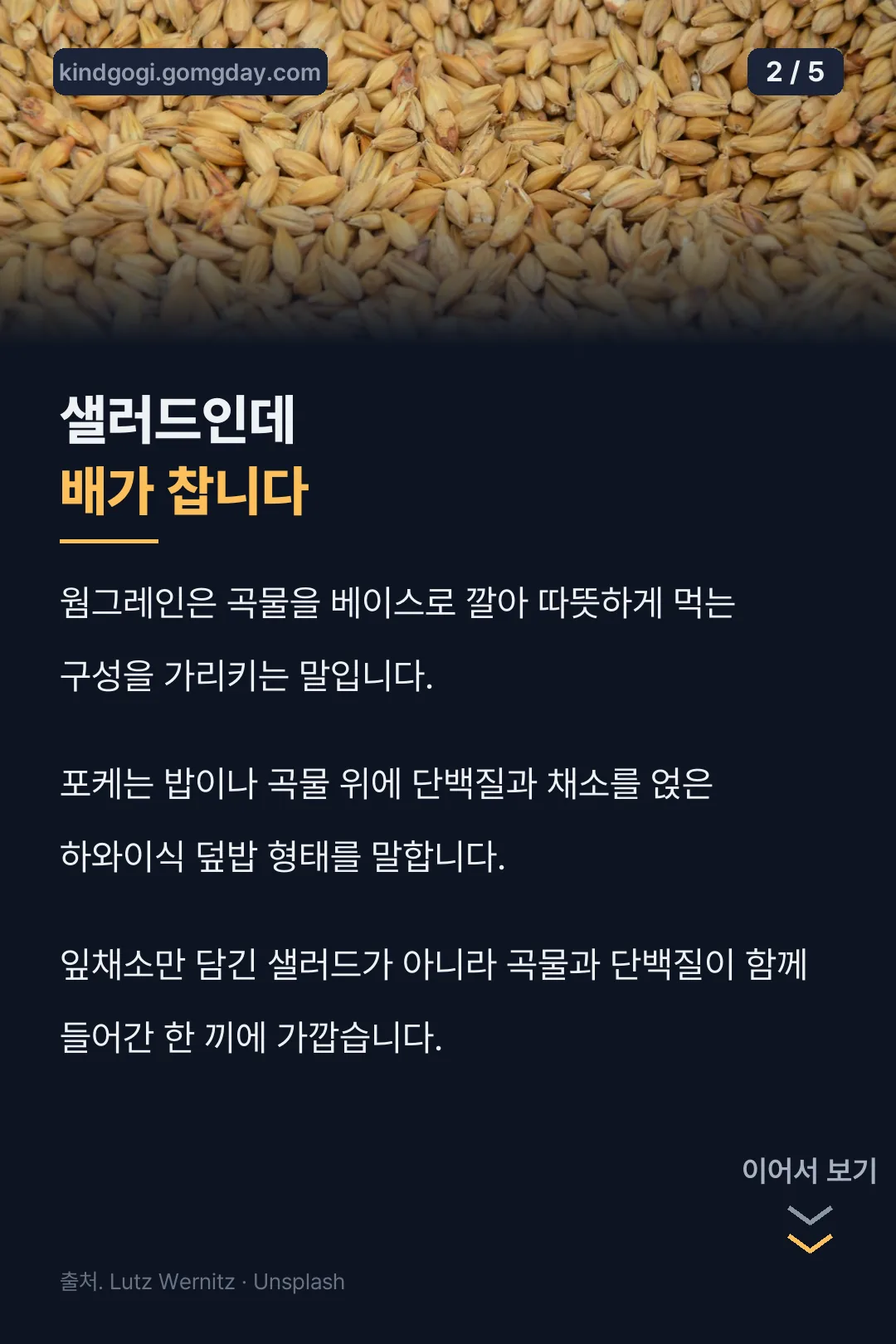 웜그레인과 포케 설명