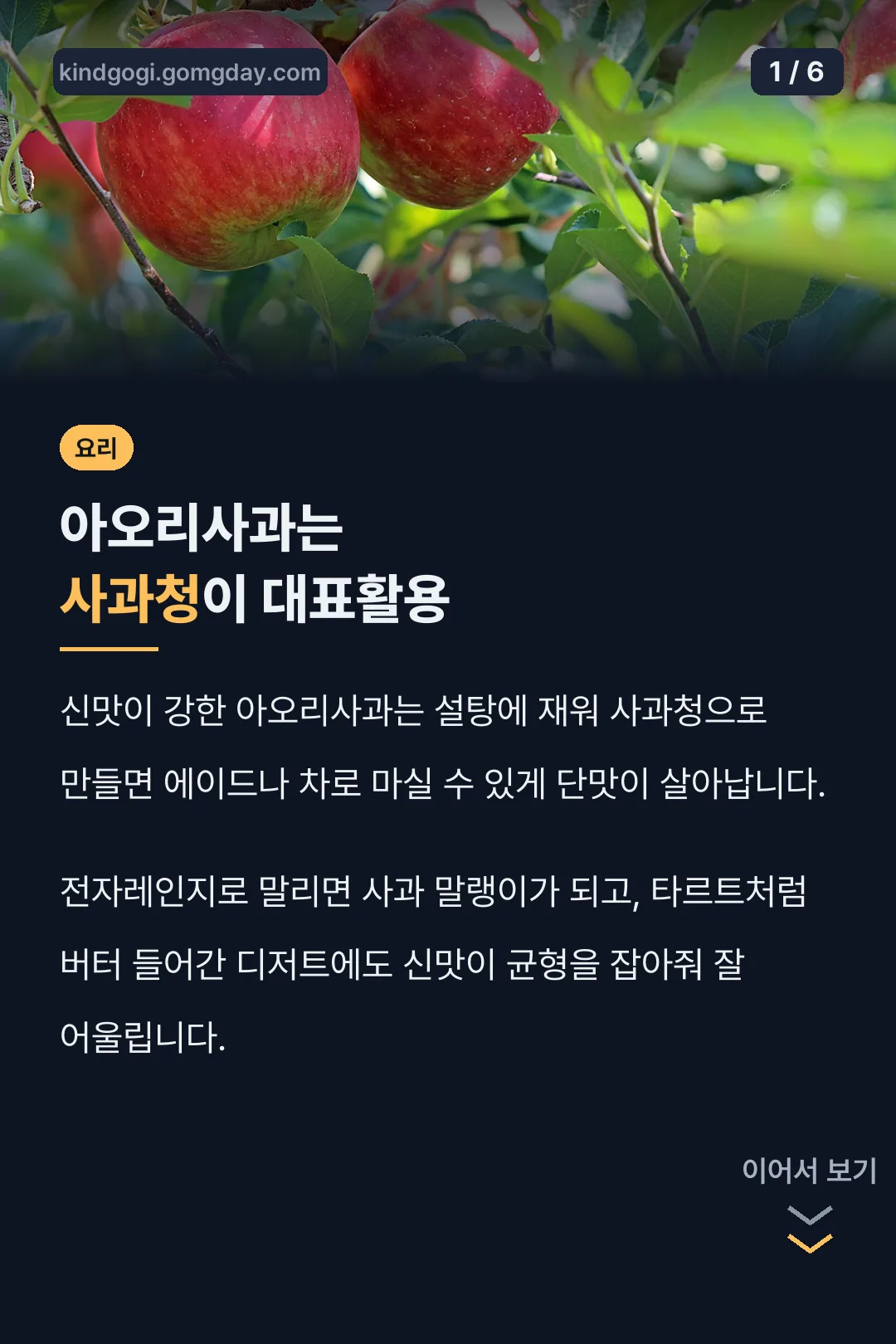 아오리사과는 사과청이 대표활용