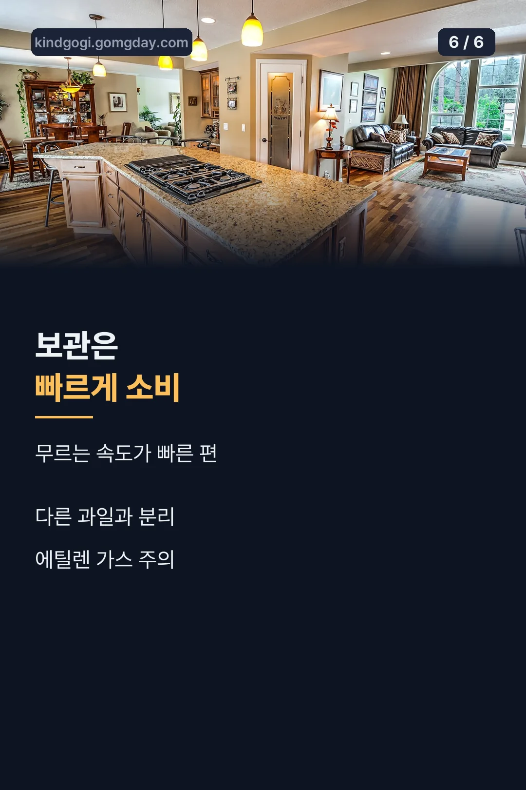 보관 팁