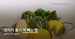플루딕 오이지 짤순이 정리 썸네일