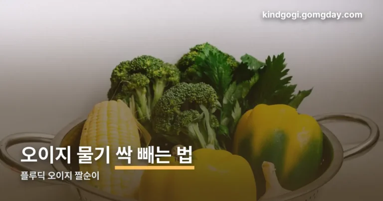 플루딕 오이지 짤순이 정리 썸네일