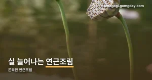 쫀득한 연근조림 정리 썸네일