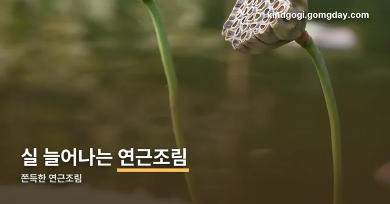 쫀득한 연근조림 정리 썸네일