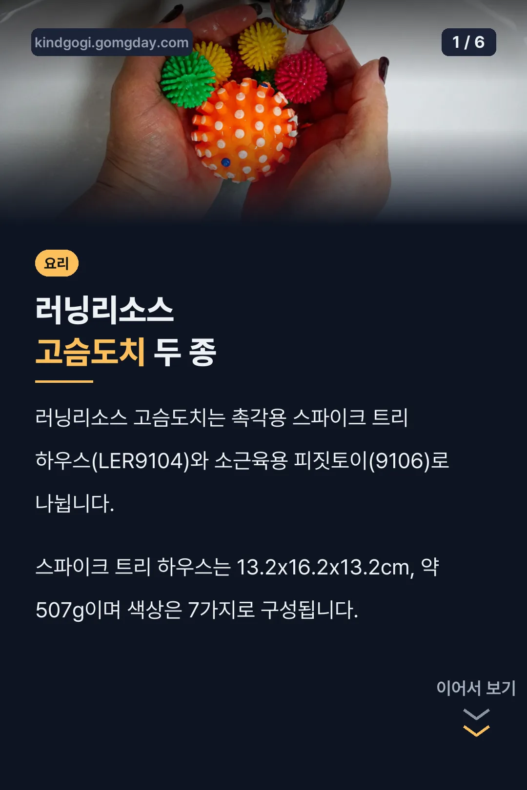 러닝리소스 고슴도치 두 종