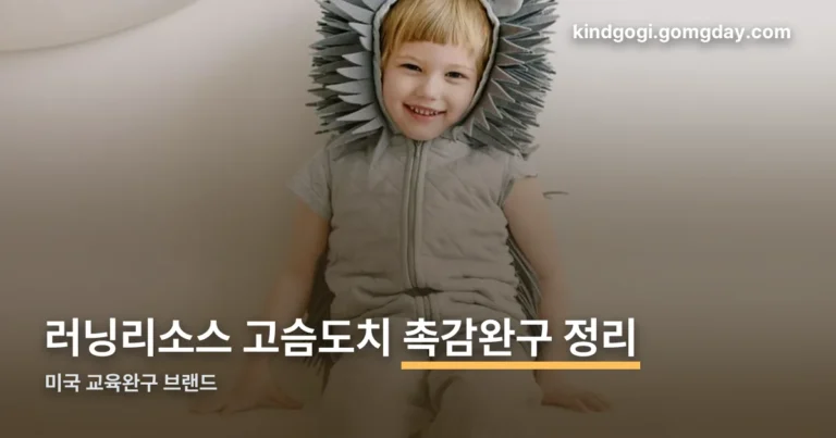 러닝리소스 고슴도치 정리 썸네일