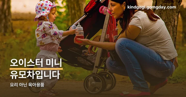 오이스터 미니 정리 썸네일