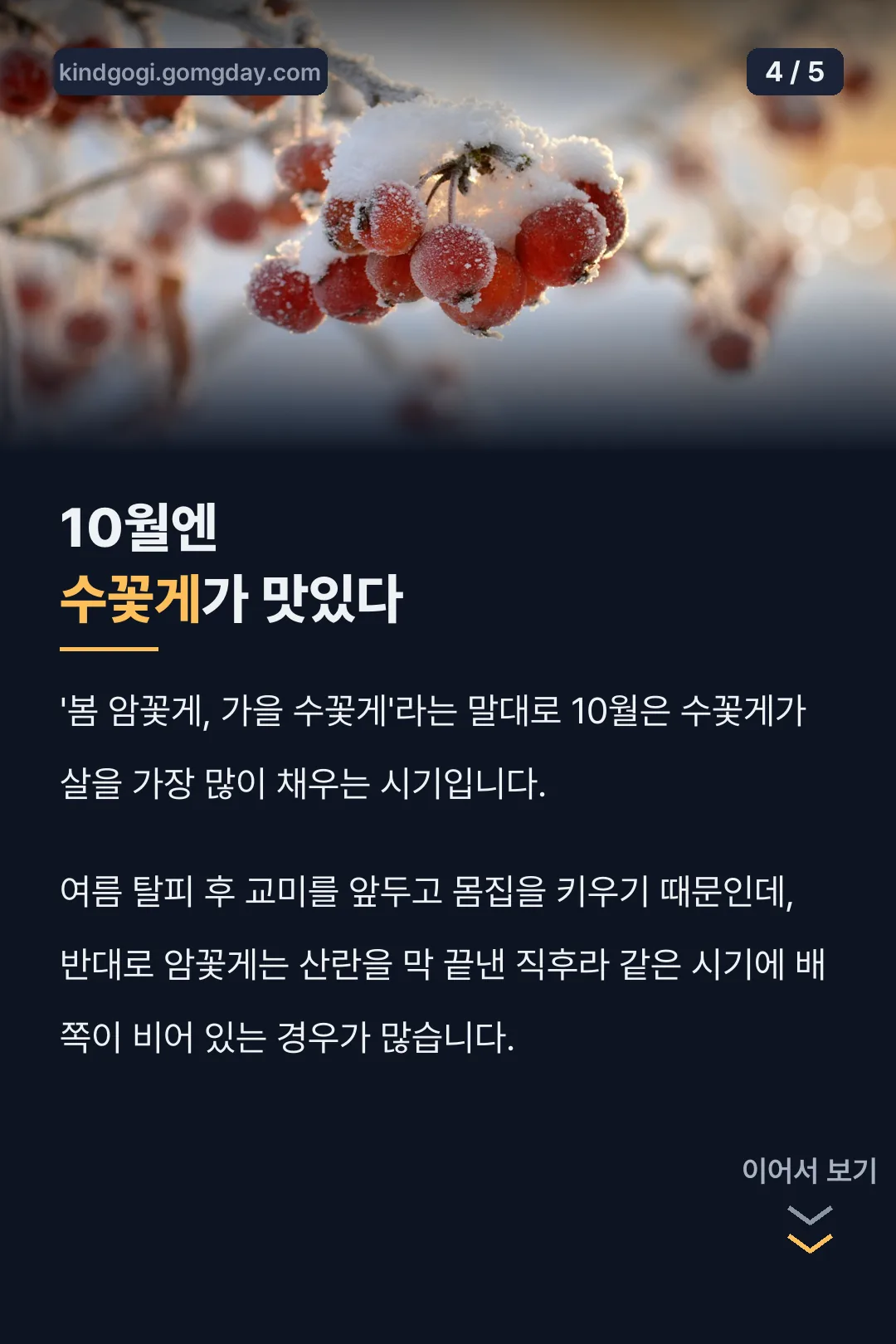 10월 수꽃게가 맛있는 이유