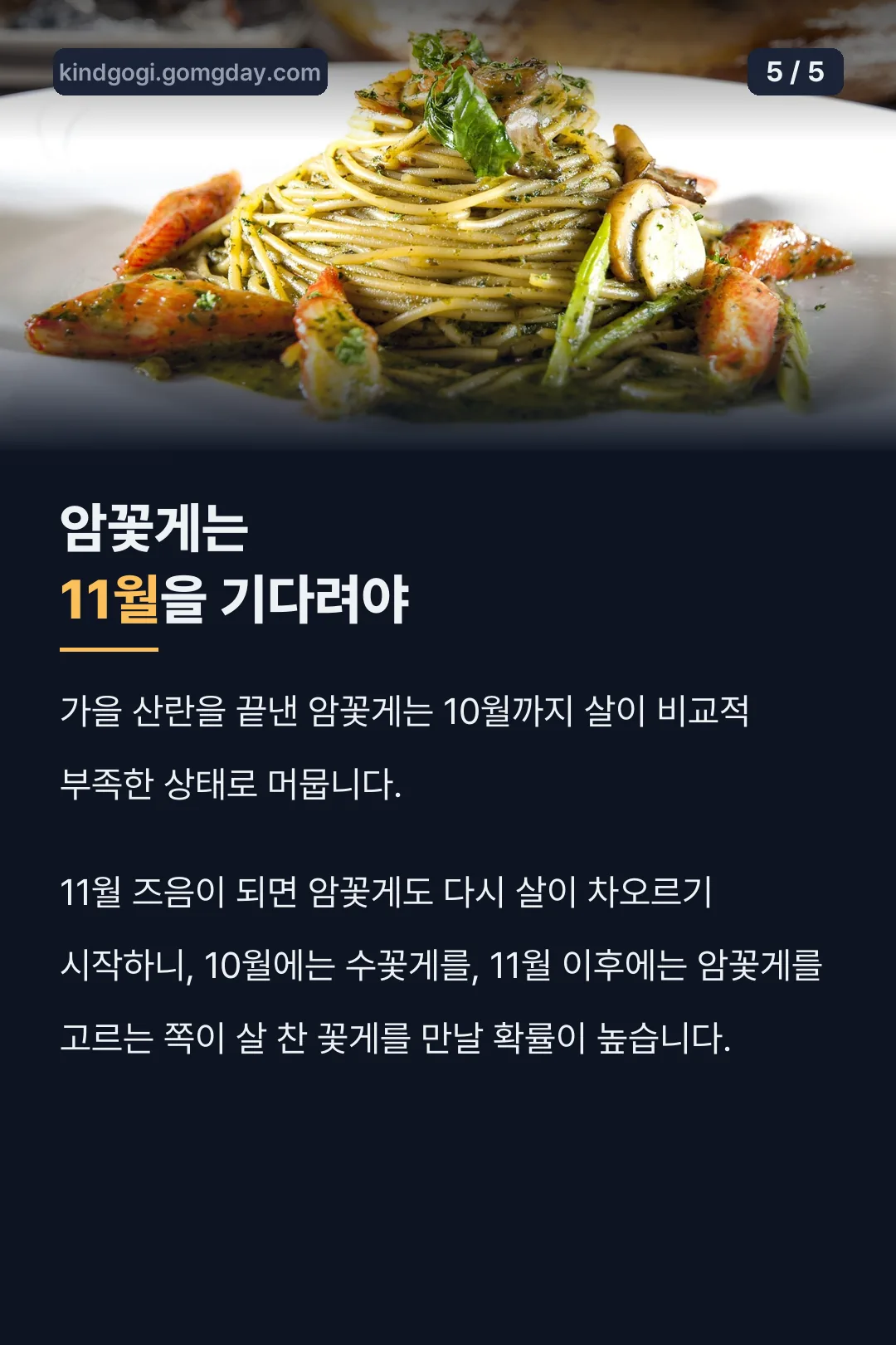 암꽃게는 11월을 기다려야 하는 이유