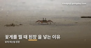 꽃게 찌는법 된장 정리 썸네일