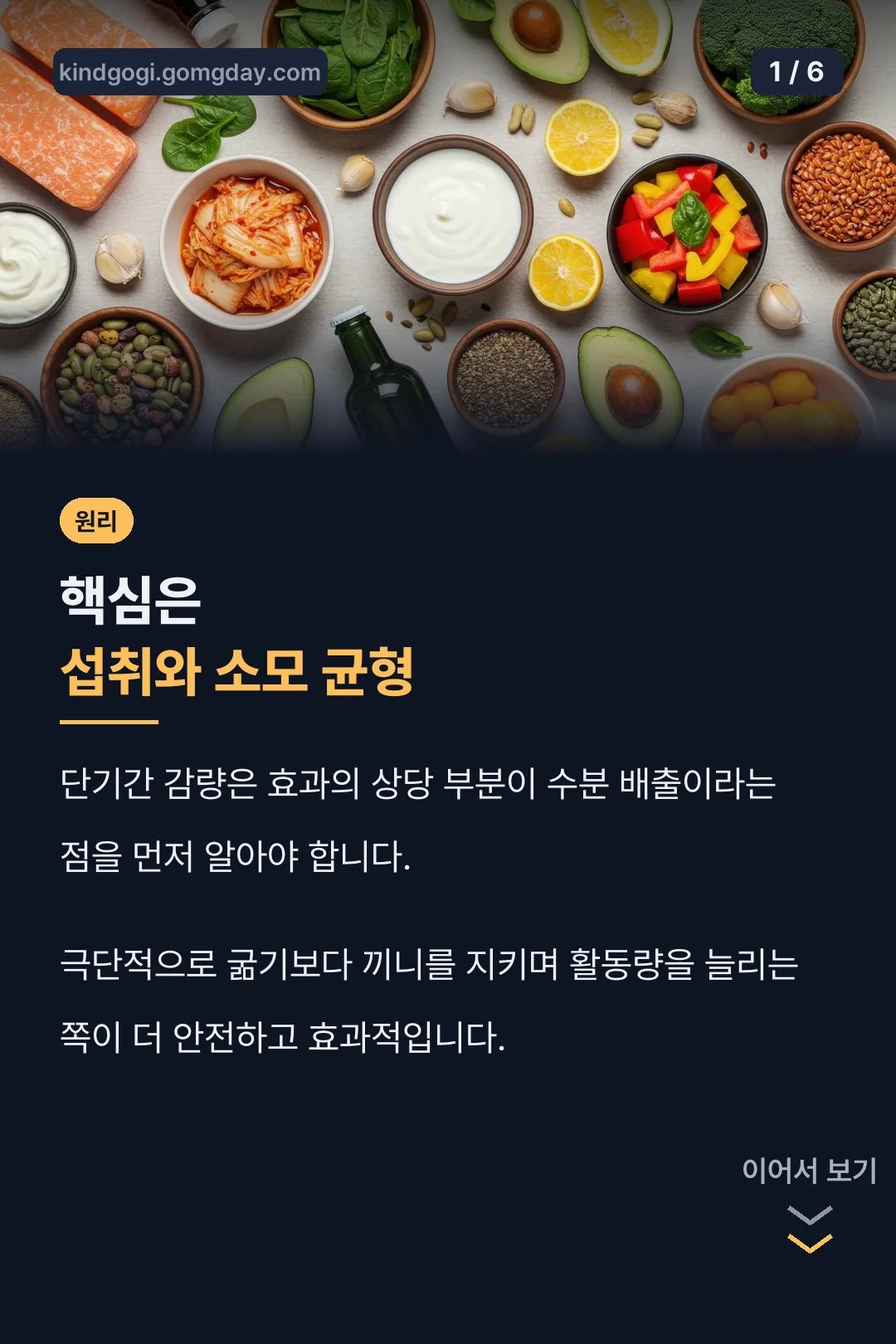 감량 핵심 원리