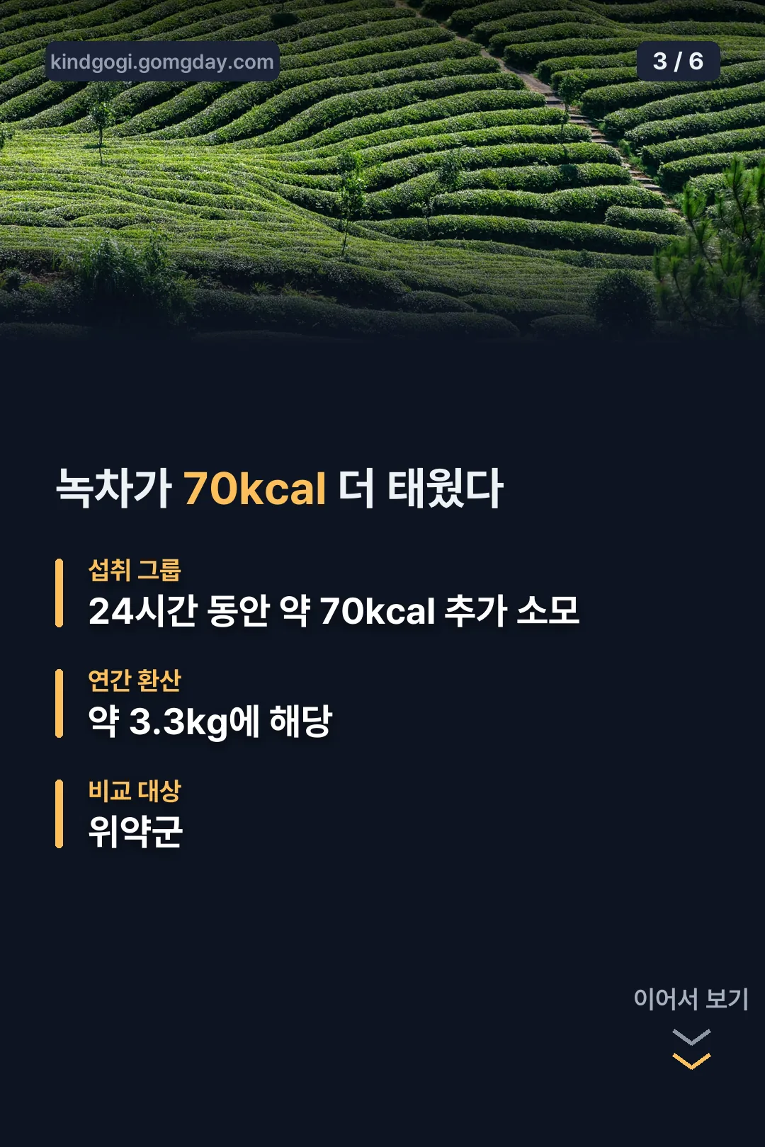 녹차 연구 결과