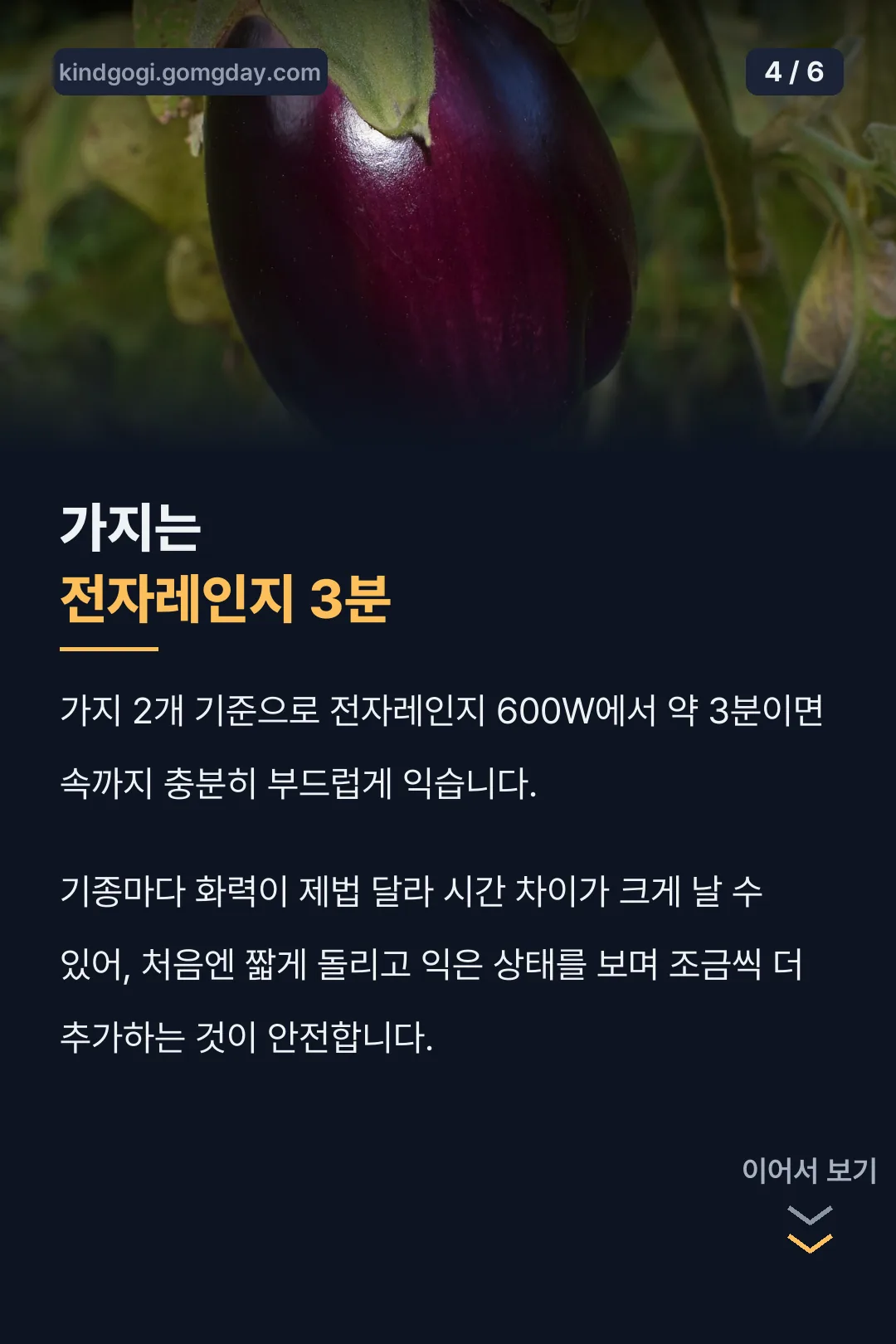 가지 전자레인지 3분