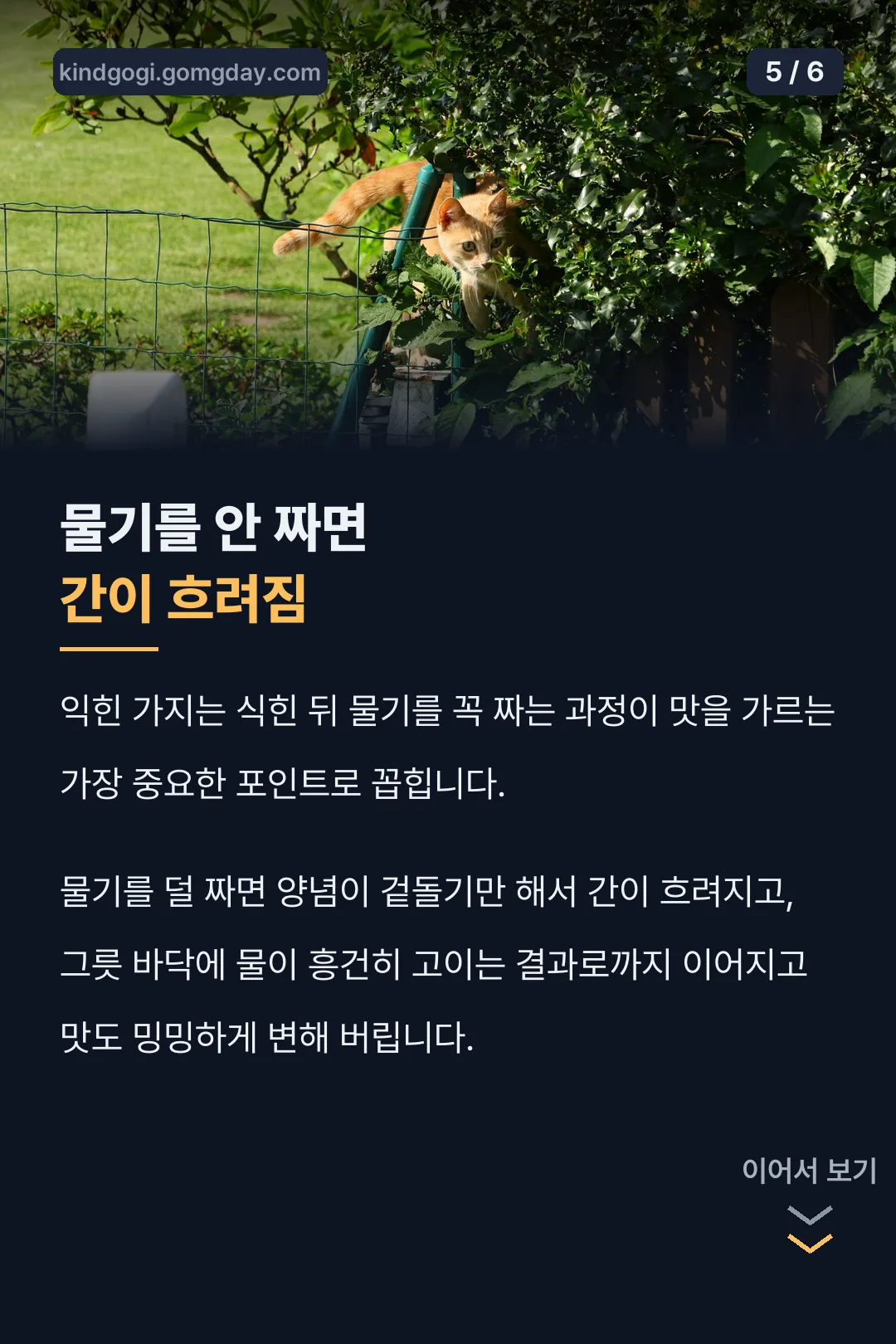 물기 짜기 포인트