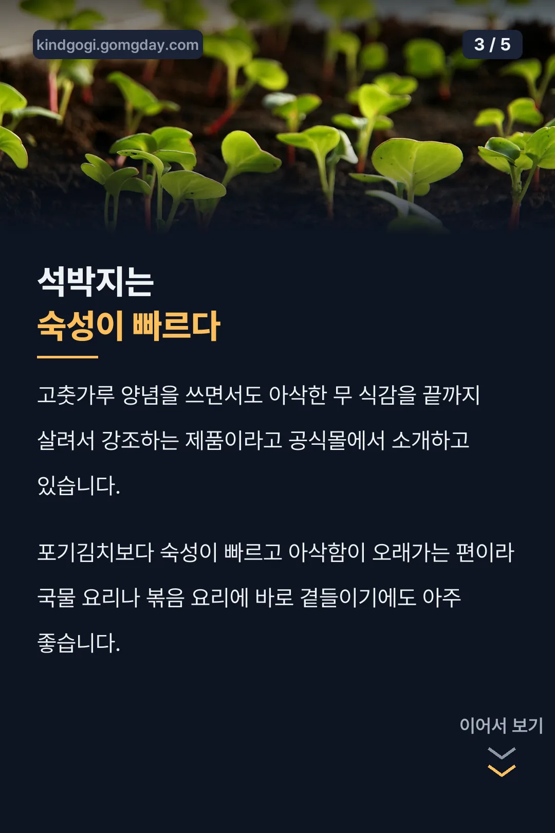 석박지 숙성 특징