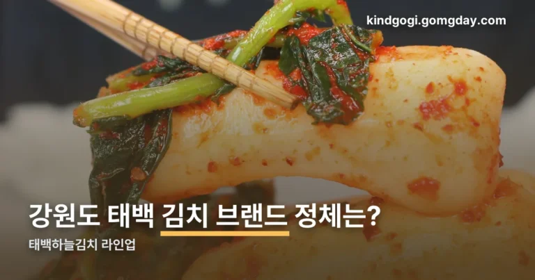태백하늘김치 정리 썸네일